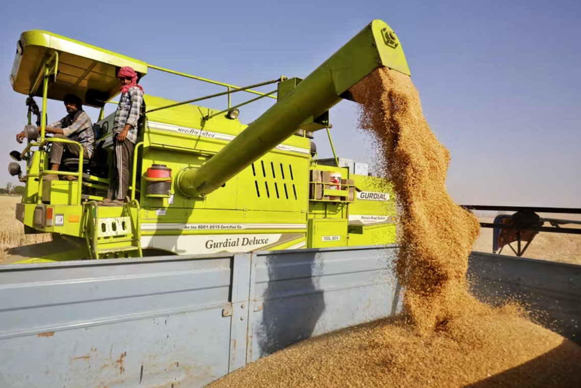 印度禁止小麦出口 高温热浪粮食减产国内小麦价格飙升