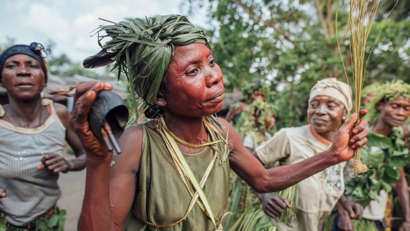 刚果民主共和国雨林偏远村庄Lokolama的妇女欢迎一个国际研究小组，该小组致力于在 2017 年确定该地区热带花瓣的存在（照片： Kevin McElvaney / 绿色和平组织）