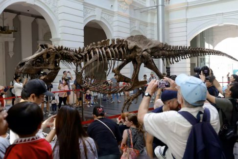 霸王龙骨骼化石在拍卖前在新加坡吸引了人群
