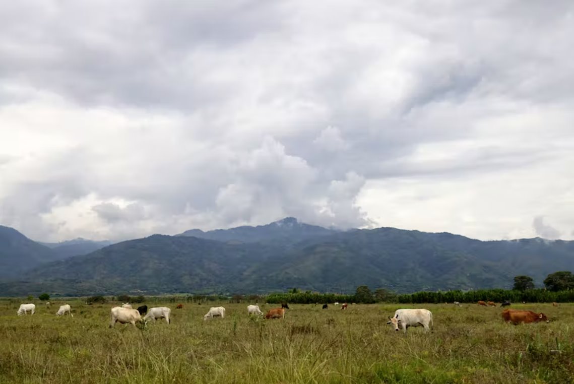 哥伦比亚达成从牧场主手中购买土地的协议
