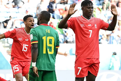 瑞士vs喀麦隆 布雷尔·恩博洛帮助瑞士1-0喀麦隆获胜