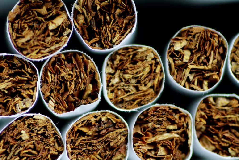 新西兰法律规定2009年出生的人禁止购买烟草