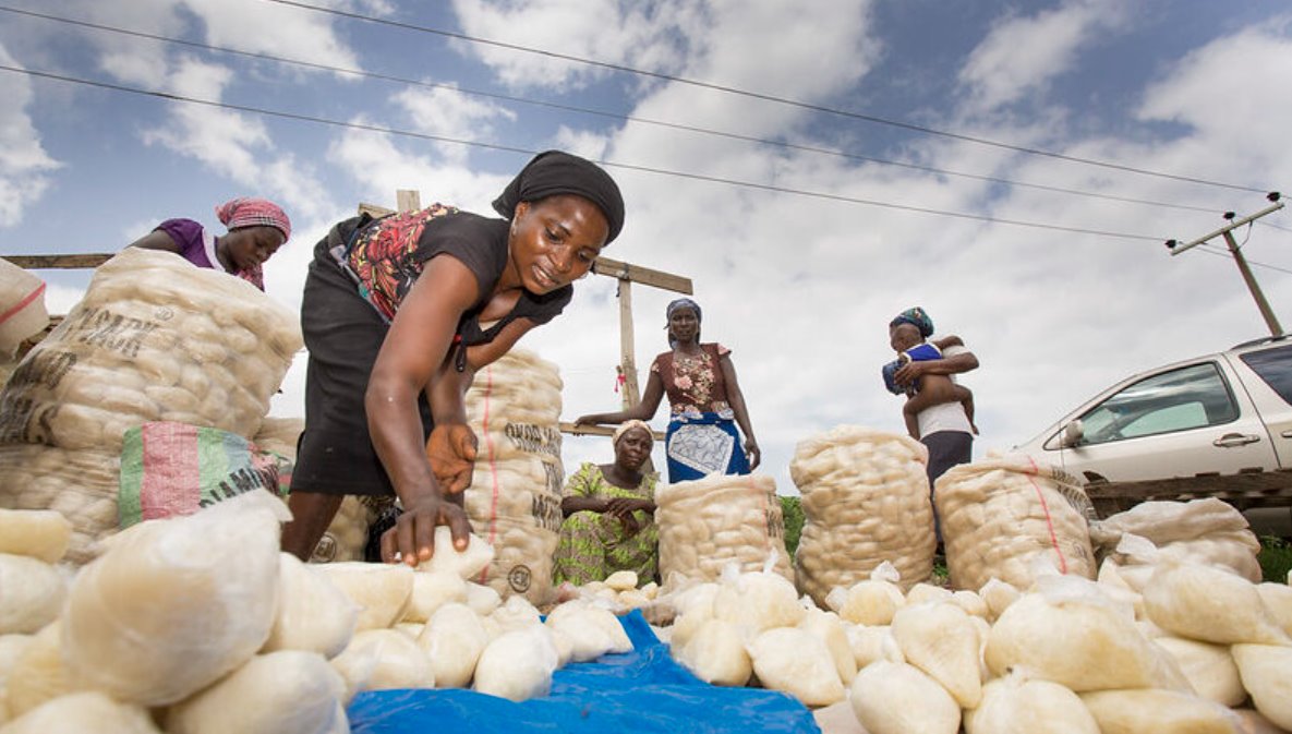 尼日利亚阿布贾，一名妇女在卖福芙（图：IFPRI/米洛·米切尔/弗利克 )