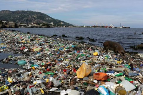 世界海洋塑料污染到2040年可能会增加两倍