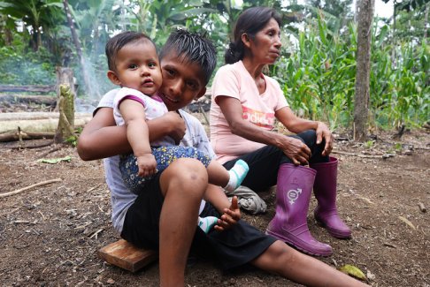 碳信用规则制定者必须让热带雨林原住民参与