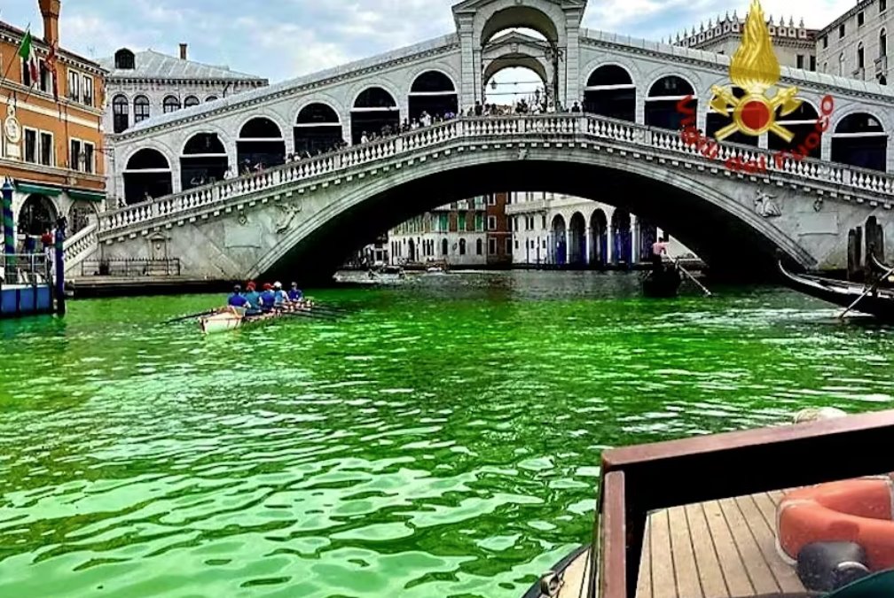 威尼斯里亚托桥附近水域变成荧光绿色
