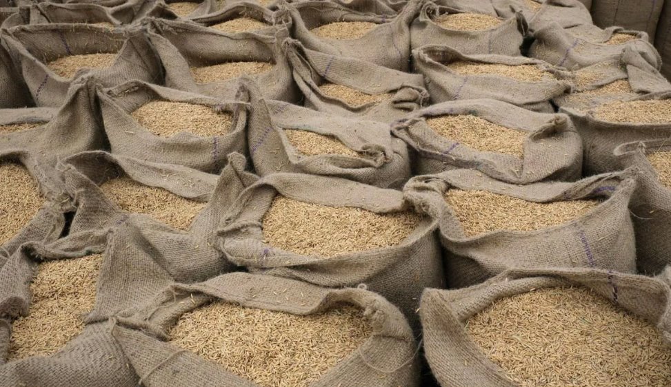印度考虑禁止大部分大米出口