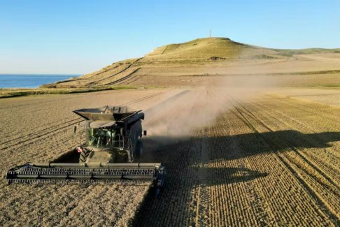 投资者压力团体敦促G20改革农业补贴