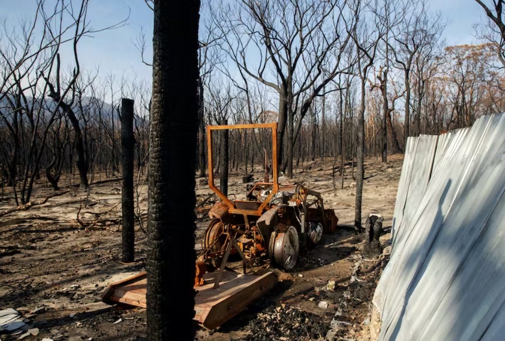 澳大利亚宣布厄尔尼诺现象 春季热浪引发丛林火灾担忧