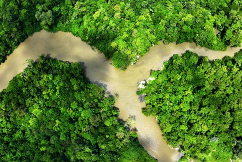 巴西亚马逊地区的森林砍伐降至2018年以来的最低水平