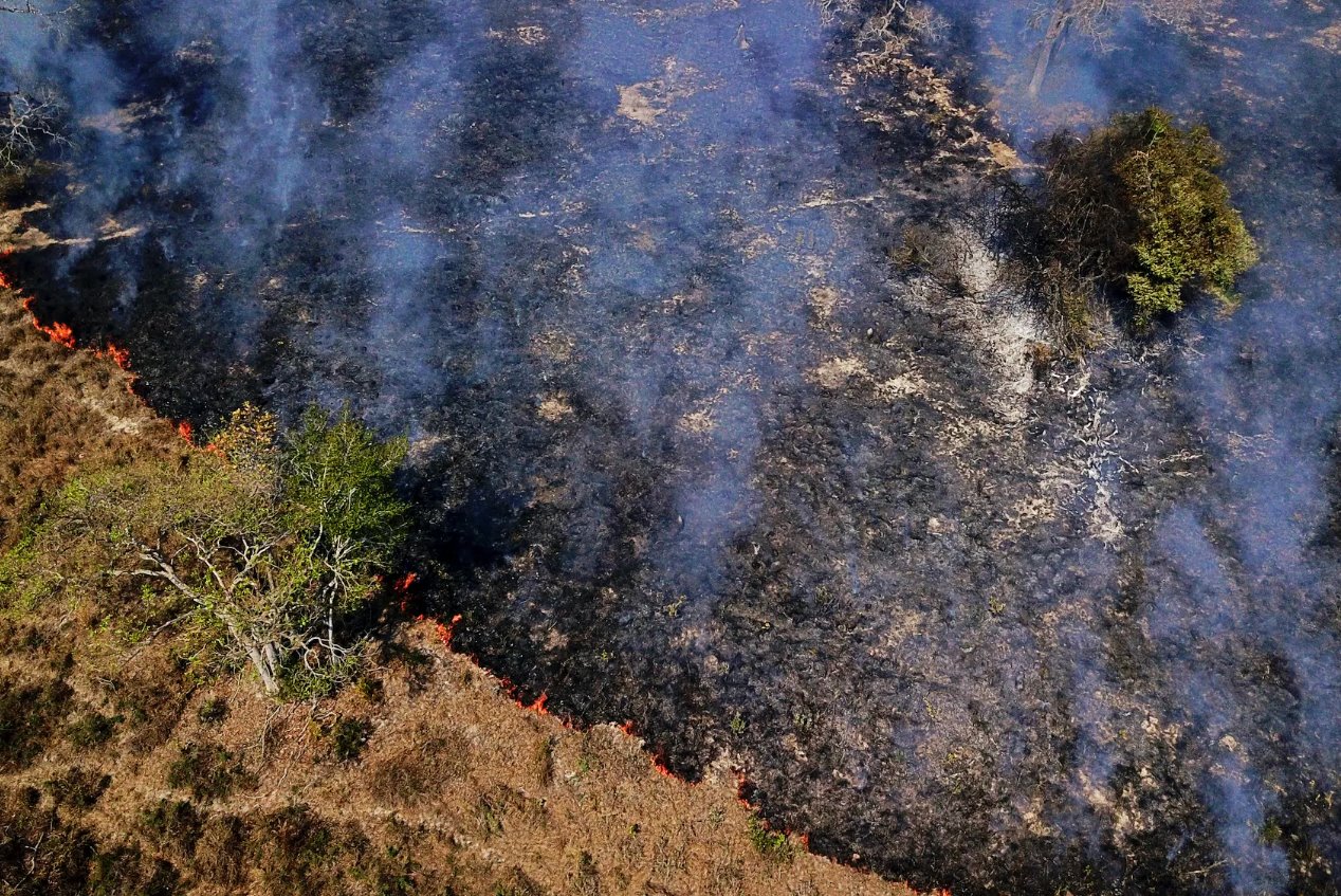 巴西潘塔纳尔湿地的火灾激增至11月创纪录水平