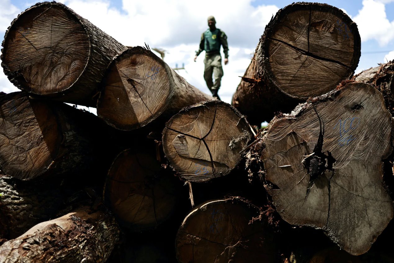 巴西森林砍伐率可能在1-2年内达到历史最低水平