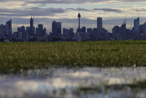澳大利亚当局称悉尼更多地点受到石棉污染