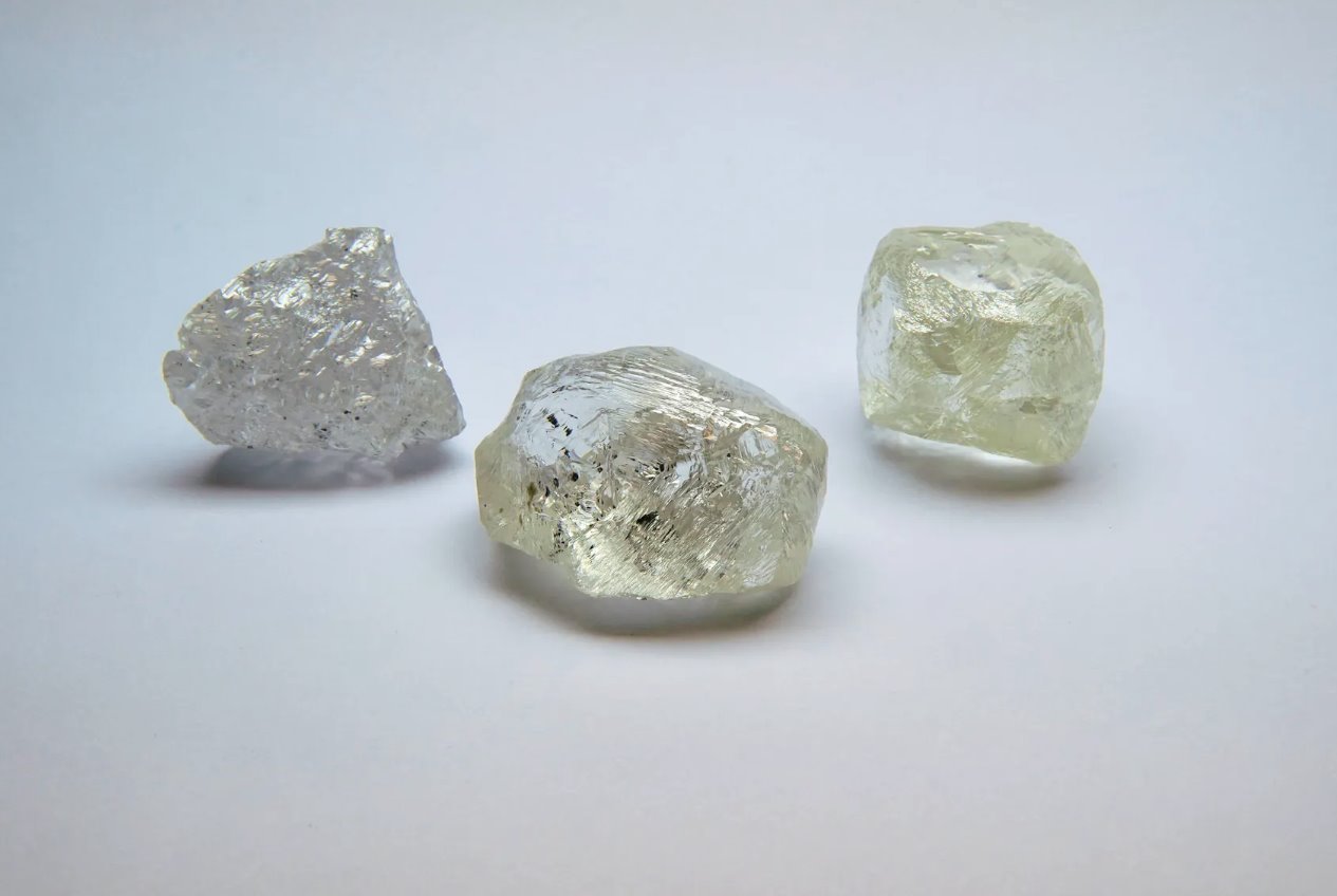视图中包括一颗稀有的242克拉毛坯钻石，该钻石将于2021年2月25日在俄罗斯莫斯科举行的演示会上，在俄罗斯国家控制的钻石生产商Alrosa的第100届国际拍卖会上出售。该公司表示，这是阿尔罗萨本世纪开采的最大宝石级宝石。