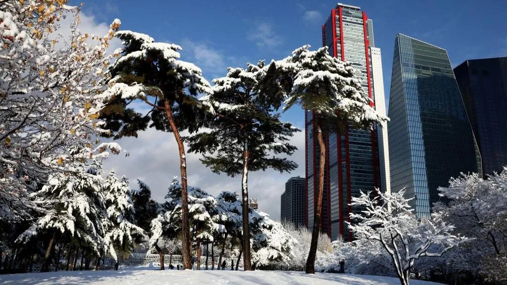 汝矣岛公园的摩天大楼前矗立着白雪覆盖的树木