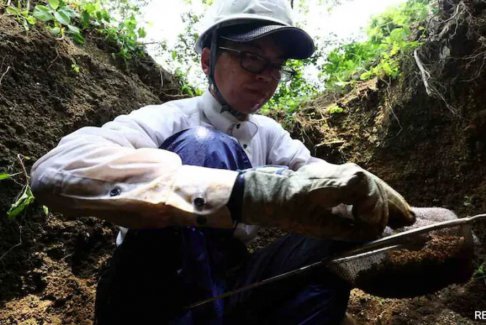 广岛原子弹爆炸80年后 仍在搜寻新岛失踪人员