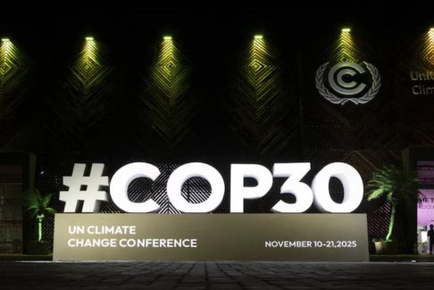 COP30：世界各国启动森林保护基金首批50亿美元到位