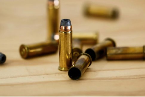 美国男子被宠物狗枪击中弹