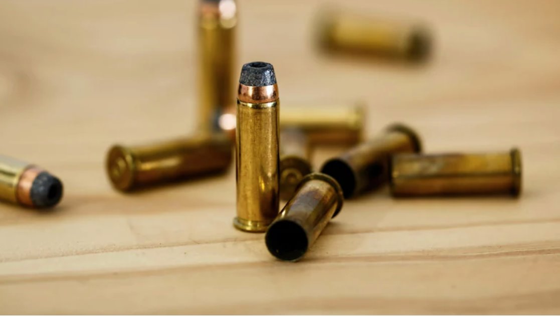 美国男子因宠物狗意外走火被送往医院