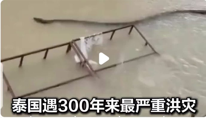 泰国遇洪灾:巨蛇在洪水中游动