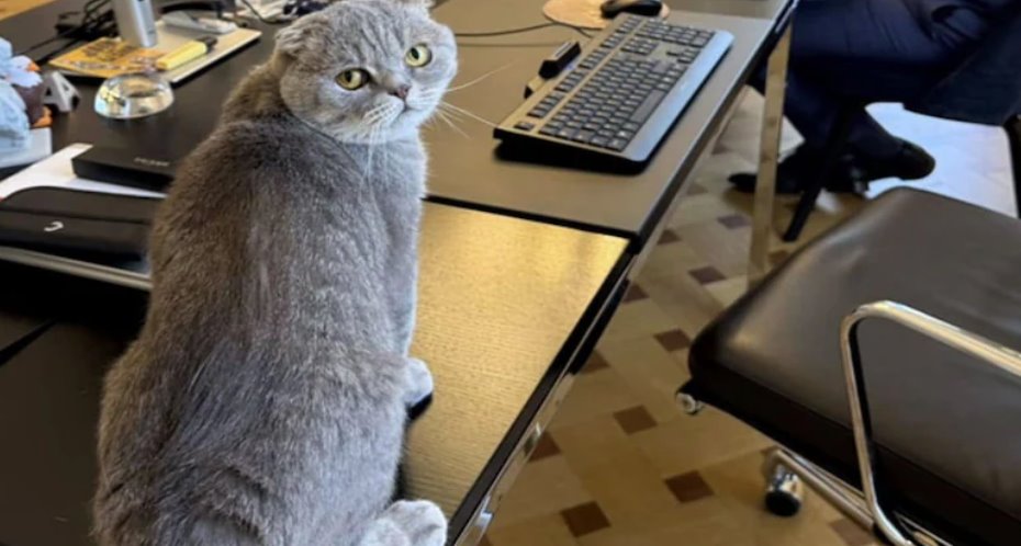 德韦弗在 Maximus 上发布的帖子并非人人都喜欢