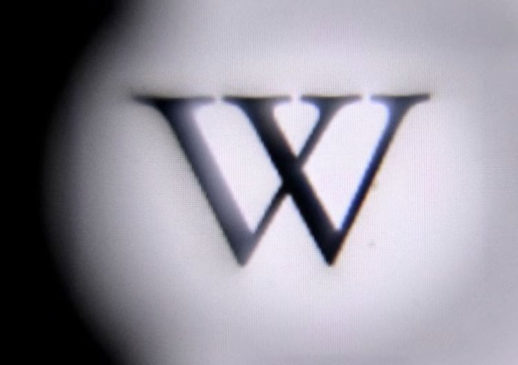 维基百科迎来25周年：回顾全球最大在线信息资源的发展历程