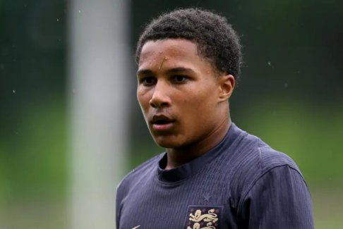 巴塞罗那签下诺维奇新星塔瓦雷斯