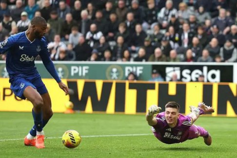 喜鹊们现在必须把杯子作为关注点