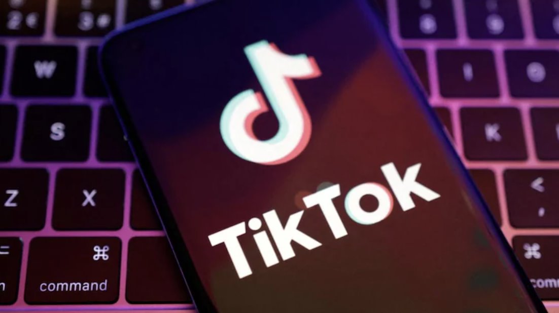 2024年11月，加拿大工业部下令解散TikTok公司。