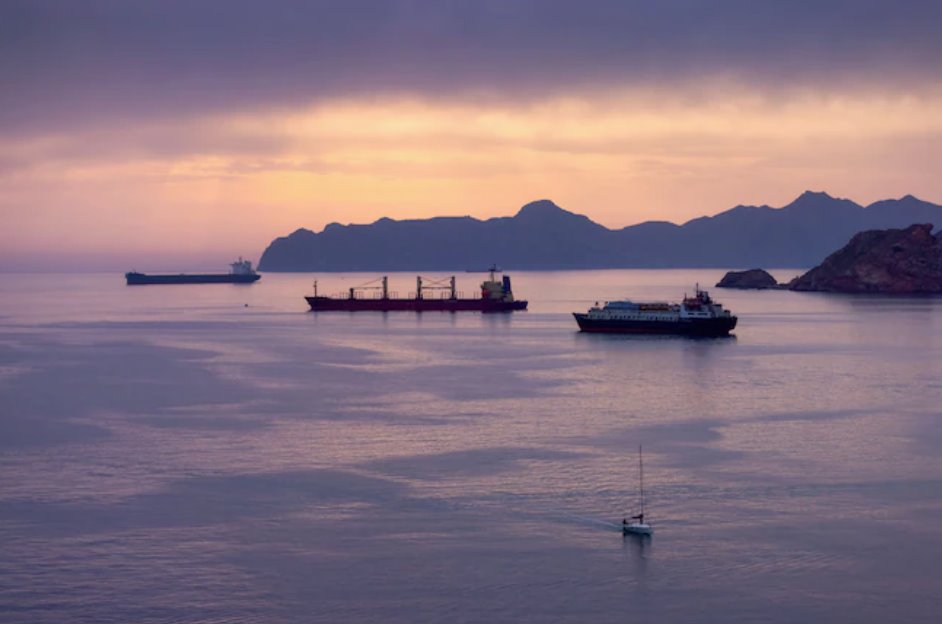 国际能源署成员国周三同意释放4亿桶石油储量