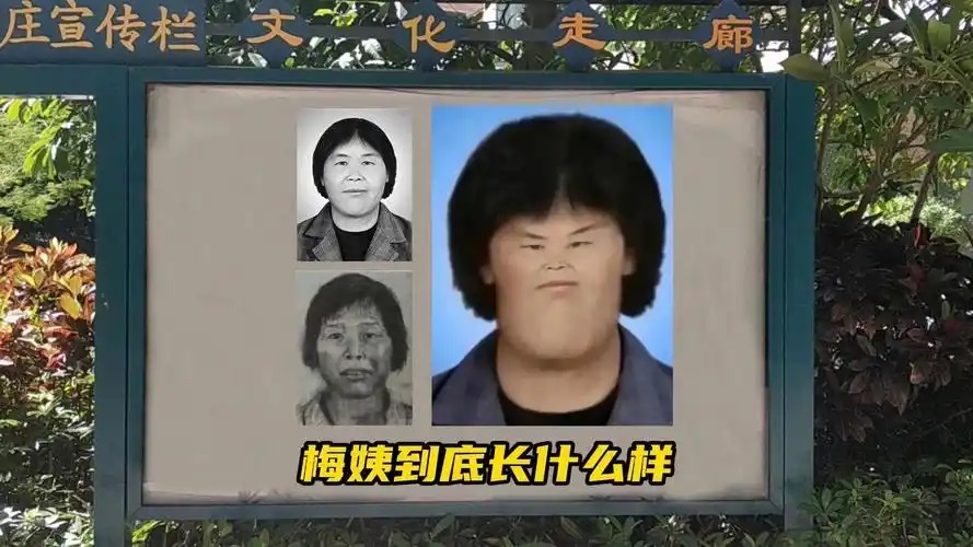 &ldquo;梅姨案&rdquo;受害家长：想看她长什么样