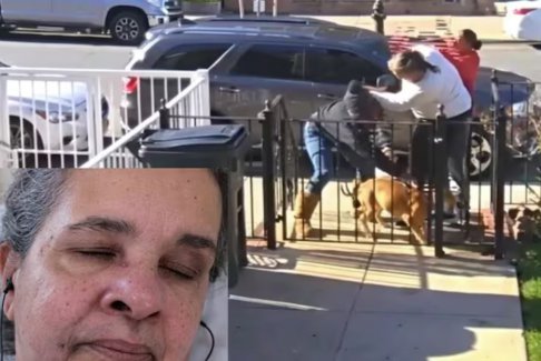 美国一名75岁老妇因要求邻居清理狗粪而在街头遭到