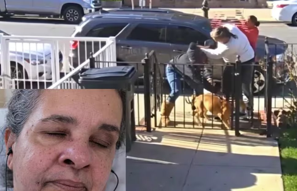 美国一名75岁老妇因要求邻居清理狗粪而在街头遭到殴打