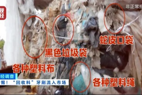 6分钱一支“脏牙刷”主要供给民宿