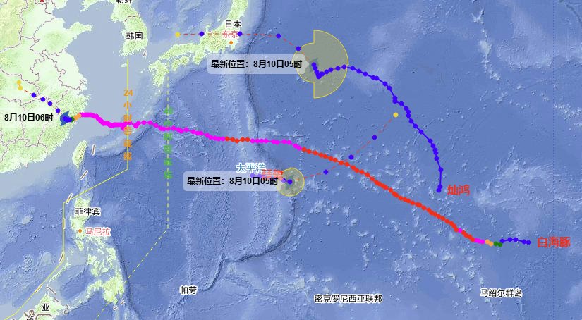 台风白海豚有罕见性