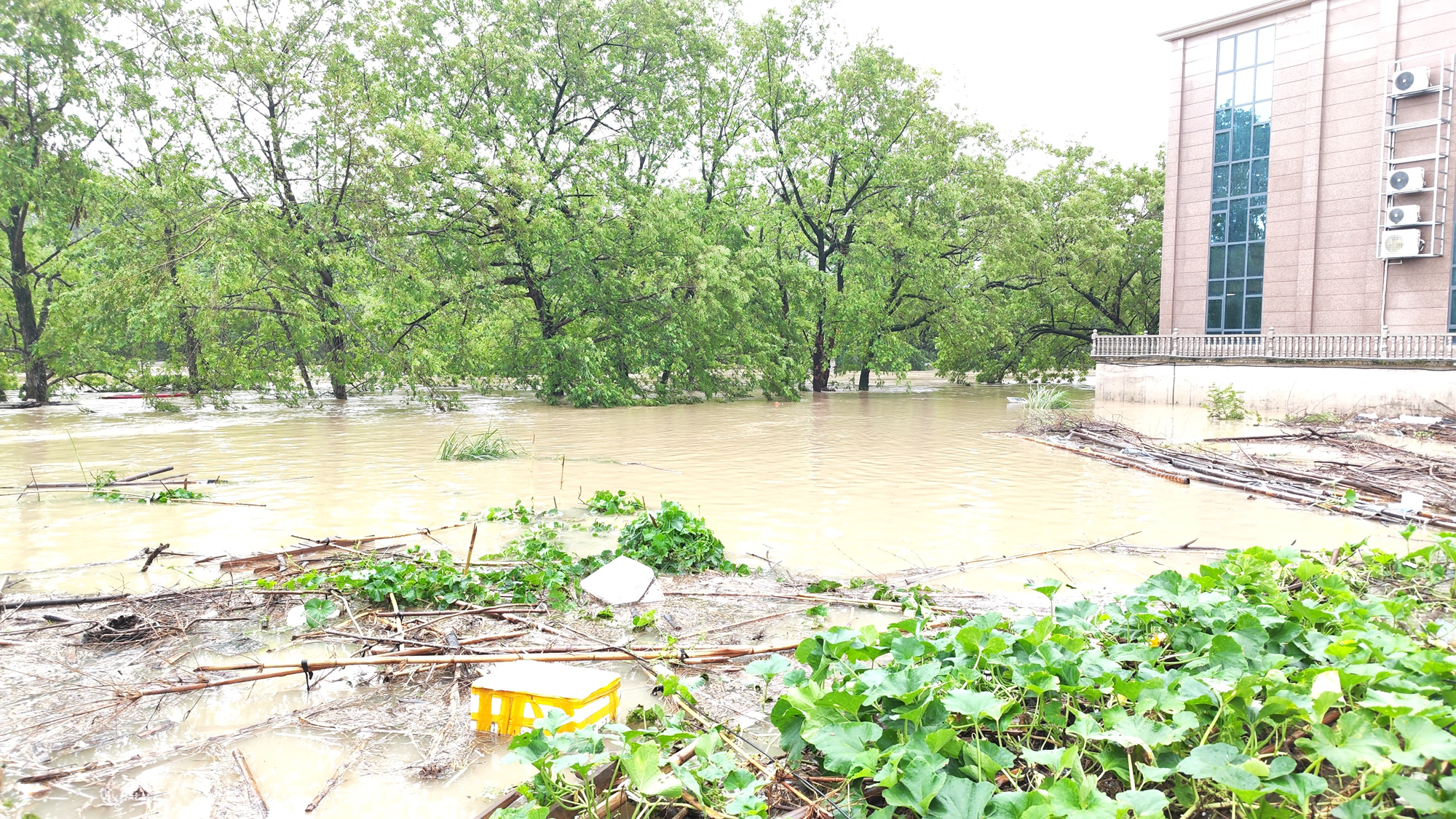 第13号台风白海豚下周将给北方制造强降雨